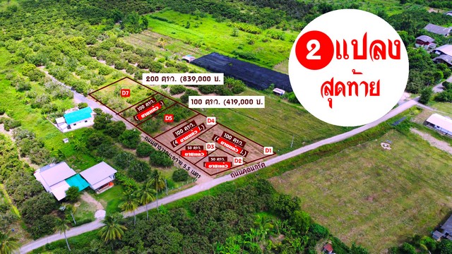 ขายที่ดินเริ่ม 1งาน 419,000บาท ถนน ไฟฟ้า ประปา เพื่อนบ้าน ต.สันทราย อ.สารภี เชียงใหม่