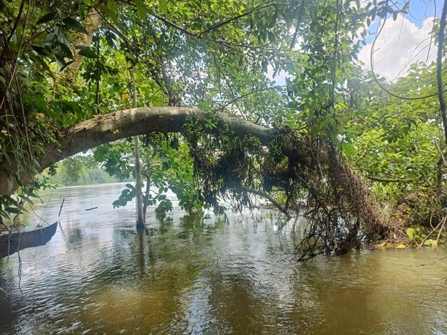 ขายที่ดินติดแม่น้ำแม่กลอง กาญจนบุรี 150 ตรว ถมแล้ว บรรยากาศวิวดีมาก เหมาะสร้างบ้าน หรือซื้อเก็บไว้