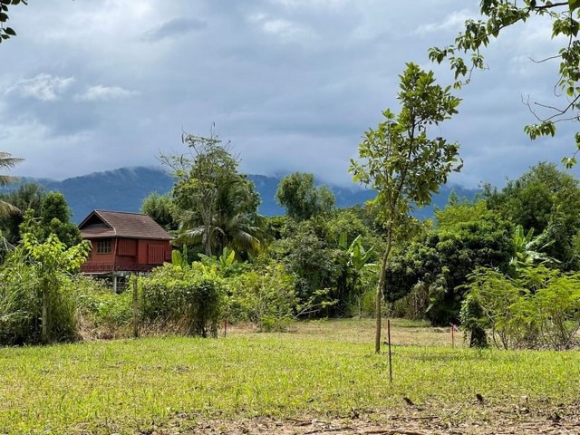 ขาย ที่ดินแปลงสวย ใกล้เมือง เหมาะสำหรับสร้างบ้านพักตากอากาศ หรือที่อยู่อาศัย