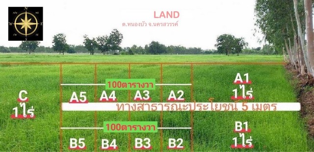 ขายที่ดินที่นา 1งาน 135,000บ. 1ไร่ 280,000บ.ถนน ไฟฟ้า ใกล้ถนน11 ต.หนองบัว อ.หนองบัว นครสวรรค์