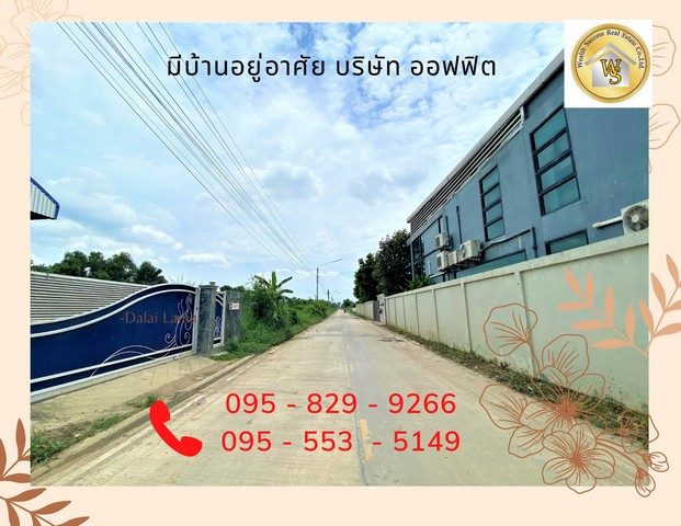 ขายที่ดิน183 ตรว.ใกล้ฟิวเจอร์ พาร์ค ติดถนนซอย รังสิต-นครนายก19 คลองหนึ่ง อ.ธัญบุรี จ.ปทุมธานี