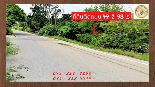 ขายที่ดิน 49-2-98 ไร่ ติดถนนเลียบคลอง11 มีรายได้จากสวนปาล์มหรือปล่อยเช่า อ.หนองเสือ จ.ปทุมธานี