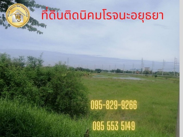 ขายที่ดิน 6-1-84 ไร่ ติดนิคมโรจนะ เข้าจากถนนหลัก 2045 แค่ 40 เมตร ต. ธนู อ. อุทัย อยุธยา