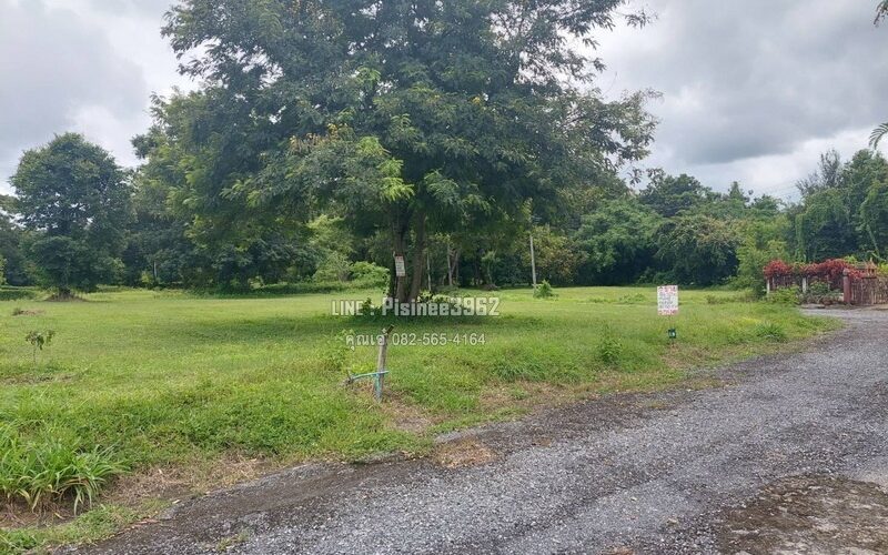 ขายที่ดินเปล่า โครงการกรีนฟิลด์ ต.ป่าป้อง อ.ดอยสะเก็ด จ.เชียงใหม่ เนื้อที่ 198.70 ตรว.