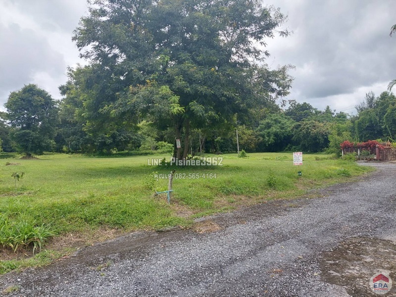 ขายที่ดินเปล่า โครงการกรีนฟิลด์ ต.ป่าป้อง อ.ดอยสะเก็ด จ.เชียงใหม่ เนื้อที่ 198.70 ตรว.