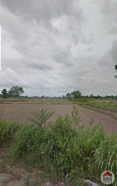 ขายด่วนที่ดินเปล่า 200 ตรว. ที่ดินสวย พื้นที่นา ต.วังหินลาด อ.ชุมแพ จ.ขอนแก่น