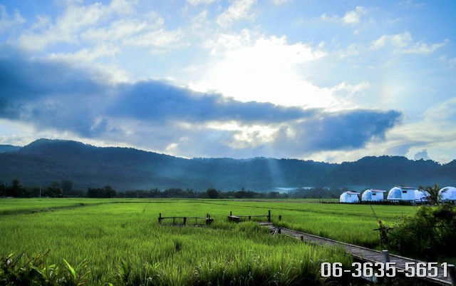 ขายที่วิวเขาสวย หลังฝนตกนางชมหมอกสวยๆ ต.เขาพระ อ.เมืองนครนายก สูงกว่าระดับน้ำทะเลประมาณ 25 เมตร