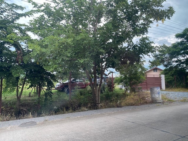 ขายที่ดินถมแล้ว ต.หน้าไม้ อ.ลาดหลุมแก้ว ปทุมธานี 7 ไร่ครึ่ง เหมาะทำโกดัง ออฟฟิศ