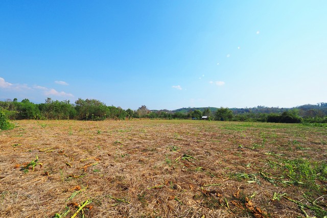 ขายที่ดินแปลงสวย วิวสวย ในเขตเทศบาล อำเภอท่าวังผา จังหวัดน่าน