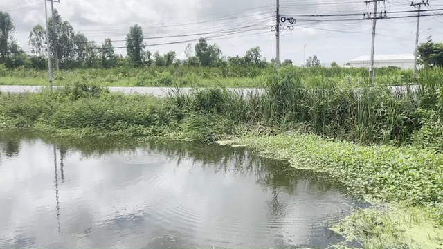 ขายด่วนที่ดิน ถนนสิริโสธร บางปะกง 50-2-60 ไร่ ติดกับหมู่บ้านเพฟมอเตอร์เวย์-ฉะเชิงเทรา ติดต่อ 0839295426