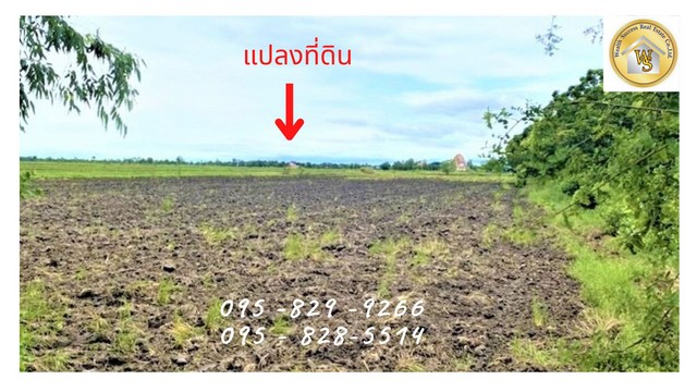 ขายที่ดินสวย 10-0-60 ไร่ ที่ดินติดถนน ทำโคกหนองนา หลังเกษียณ ใกล้คลองมโนรมและกังหันเงิน รีสอร์ท เกาะโพธิ์ อ ปากพลี นครนายก