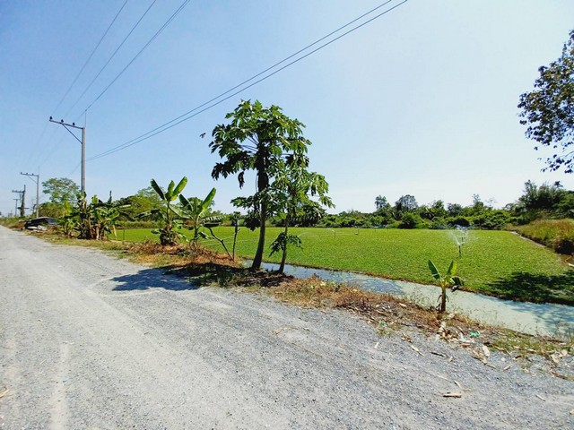 ขายที่ดินคลอง 12 หนองเสือ 2ไร่ บรรยากาศดี มีไฟฟ้า มีน้ำประปา เหมาะปลูกบ้าน ทำเกษตรเล็กๆ บรรยากาศดี