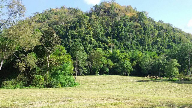 ขายที่ดินวิวภูเขา ใกล้ถนนธนะรัช ตำบลหมูสี อ.ปากช่อง โคราช ขนาด 26-1-82 ไร่