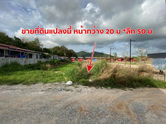 ขายที่ดินทำเลดี 250 ตร.วา ใกล้ Robinson lifestyle 800 m อ.บ้านฉาง จ.ระยอง เหมาะทำบ้านหรือห้องเช่า