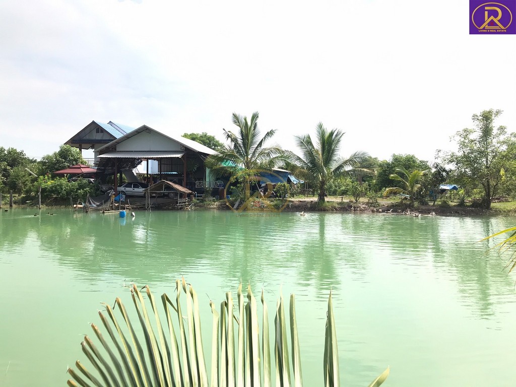 ขายด่วน ที่ดินพร้อมบ้านสวนผลไม้หลากหลายชนิด ต.เกาะโพธิ์ อ.ปากพลี จ.นครนายก