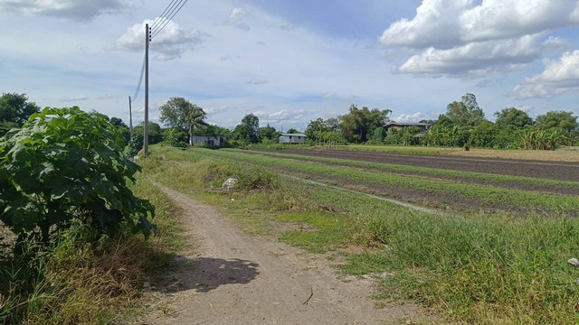 รหัส ด.0005 ต้องการขาย พื้นที่ดิน ที่ดิน บางเดื่อ ใกล้ถนนราชพฤกษ์ ตัดใหม่ ปทุมธานี area 11 Rai 1 ngan 76 ตรว. 8000000 บาท. ใกล้ ใกล้ถนนราชพฤกษ์ ตัดใหม่ ปทุมธานี ราคาคุ้ม