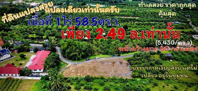 ขายที่ดิน 1ไร่ 58.5ตรว. 2.49ล้านบาท ฟรีโอน ถนน ไฟฟ้า ประปา บ้านไร่ดง ต.ขัวมุง อ.สารภี จ.เชียงใหม่