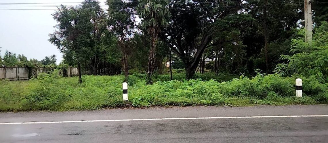 ขายที่ดินติดแม่น้ำท่าจีน 2 ไร่ อ เดิมบางนางบวช สุพรรณบุรี