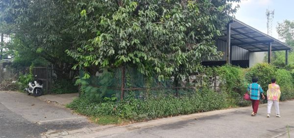 ขายที่ดิน ตรงข้ามอิเกีย ซ.decathron หมู่บ้านทุ่งเศรษฐี บางนา รามคำแหง 2ขนาด ซอย37 และซอย39 ขนาด 120วา