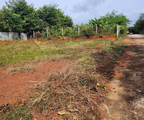 ขายที่ดินสวย ทำเลดี หลายแปลง ใจกลางเมืองตรัง ต.ทับเที่ยง อยู่แหล่งชุมชน น้ำไฟเข้าถึง โทร 093-0240080