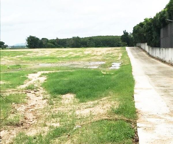 ขายที่ดิน ขนาดพื้นที่ 8-3-51 ไร่ มาบยางพร16 (บ่อวิน-ปลวกแดง) ถมแล้ว ใกล้ ตลาดนัด โทร 081-909-7043