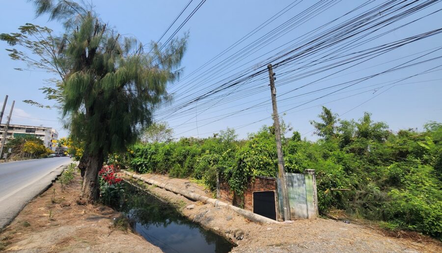 ขายที่ดิน 3 ไร่ ด้านหลังตลาดหนองจอก ถนนผดุงพันธ์ซอย 1 ทำเลธุรกิจ กรุงเทพชั้นนอกที่ชุมชน ติดถนน โทร 088-987-9915