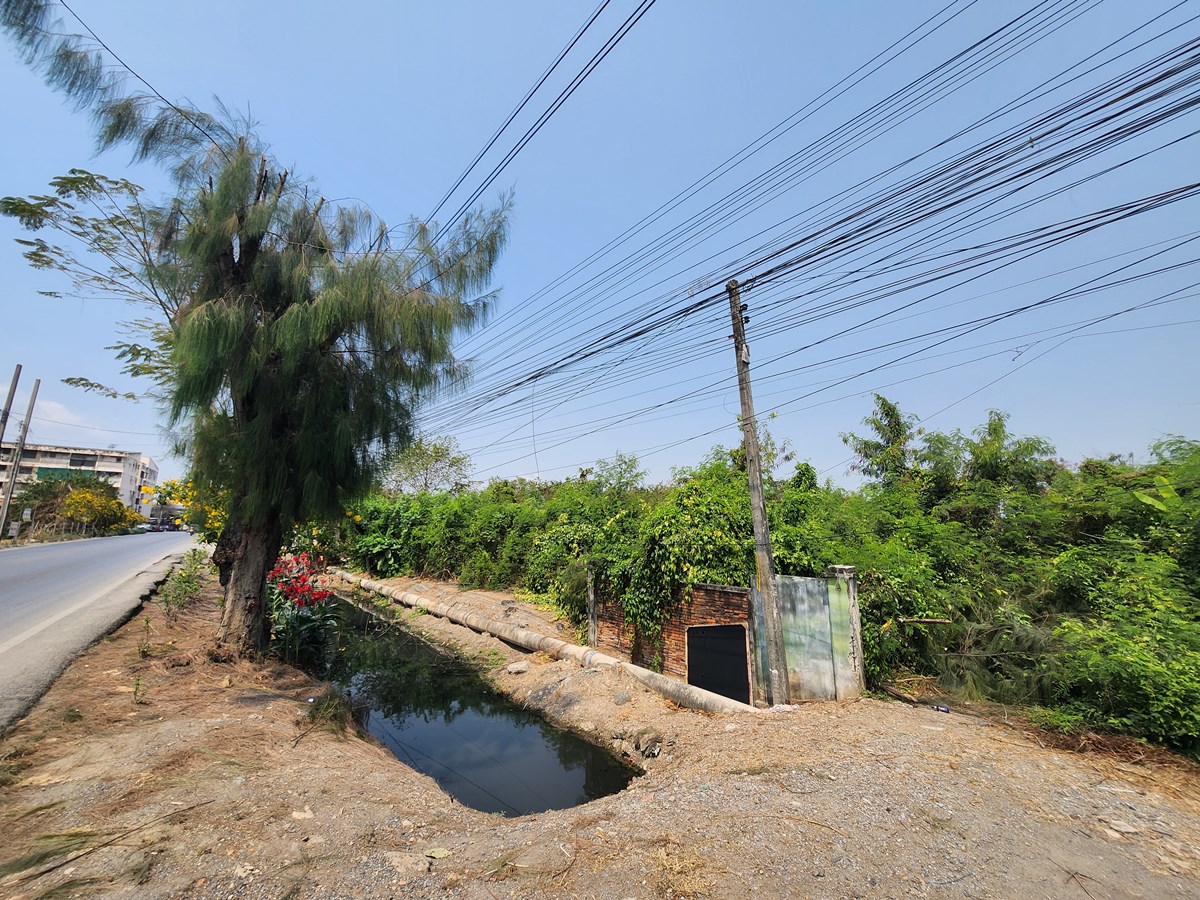 ขายที่ดิน 3 ไร่ ด้านหลังตลาดหนองจอก ถนนผดุงพันธ์ซอย 1 ทำเลธุรกิจ กรุงเทพชั้นนอกที่ชุมชน ติดถนน โทร 088-987-9915