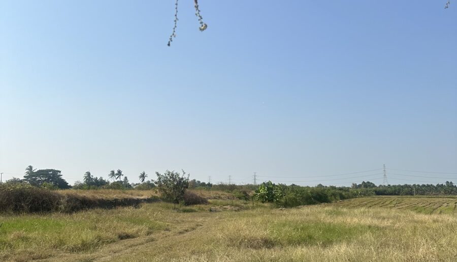 ขายที่ดิน อ.บางเลน จ.นครปฐม 15 ไร่ แถมฟรี 2 ไร่ ติดถนนใหญ่ ใกล้โรงงานดีโสตน โทร 0813509969