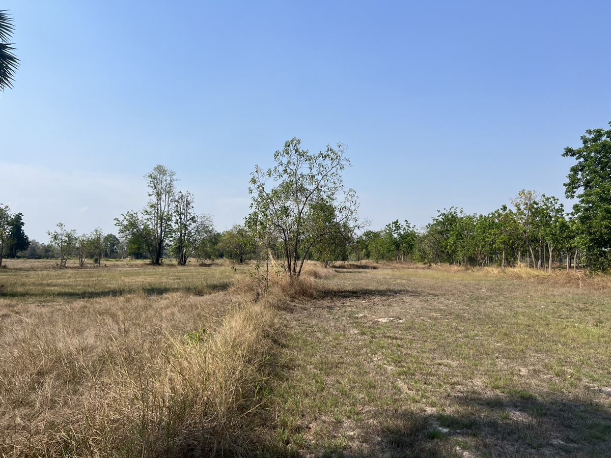 ขายที่ดิน ห่างเมืองเก่าสุโขทัย 10 กิโลเมตร เป็นที่นา มีบ่อน้ำ อำเภอคีรีมาศ โทร 0917796341