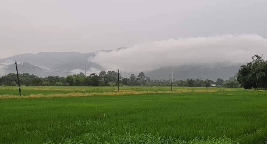 ขายด่วน! แบ่งขายที่ดิน 200 ตรว. อ.เมือง จ.นครนายก วิวสวยที่สุดในเขาพระ อากาศดีมาก มีเขาล้อมรอบ โทร 080-469-6692