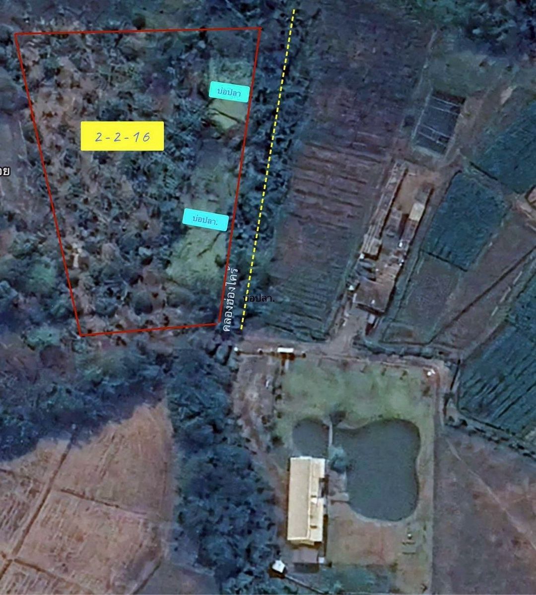 ราคาพิเศษ 3.9 ล. 2-2-16 ตรว. ดอยสะเก็ด วิวภูเขา ท่ามกลางธรรมชาติ