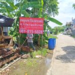 ขายที่ดินเปล่า ถมแล้ว เนื้อที่ 95 ตารางวา อ้อมน้อย สมุทรสาคร