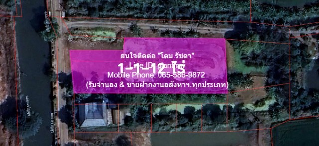 ขายที่ดินเปล่า (แปลงมุม) แถวคลองประปามหาสวัสดิ์ อ.บางใหญ่ 1-1-12