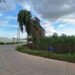 ขายที่ดินบ่อวิน ศรีราชา ชลบุรี