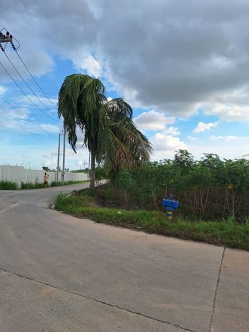 ขายที่ดินบ่อวิน ศรีราชา ชลบุรี