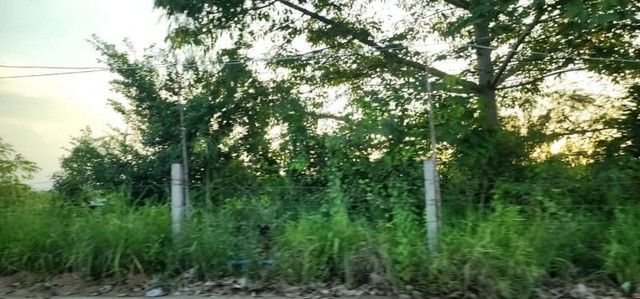 ขายที่ดินเข้าคันทรง ศรีราชา ชลบุรี