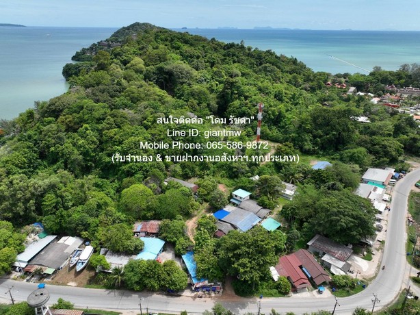 ขายที่ดินสวนป่า บนเนินไหล่เขา วิวทะเล เกาะสิเหร่ ภูเก็ต 2-1-57.3