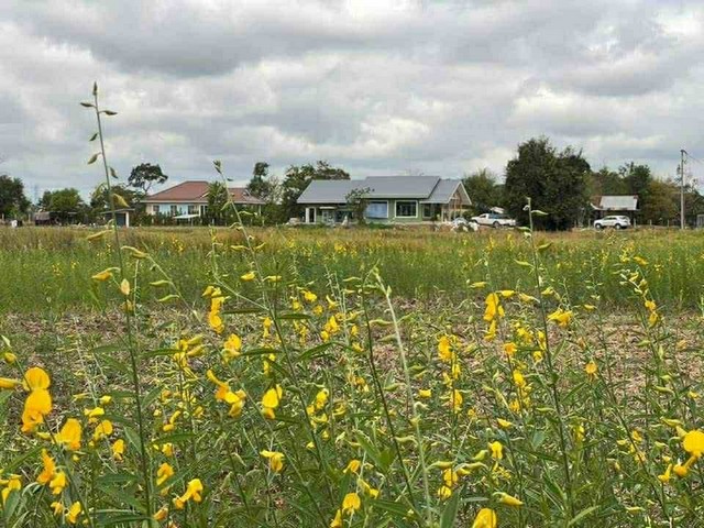 ขายที่ดิน ติดถนนมิตรภาพอุดรธานี ขอนแก่น