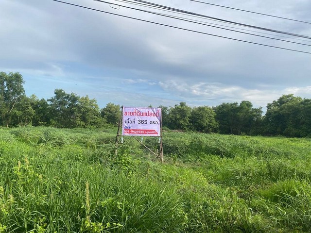 ขายที่ดินเปล่าหมู่บ้านกฤษดานคร 25 ซอยประชาร่วมใจ 31