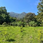 ขายถูกมาก ที่ดินแปลงใหญ่ 74-3-34 ไร่ ทำเลดี อ.เมืองปาน จ.ลำปาง