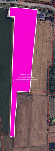 ขายบ้าน 2 ชั้น พร้อมที่ดินทุ่งนา อ.นครชัยศรี นครปฐม 11-3-13 ไร่