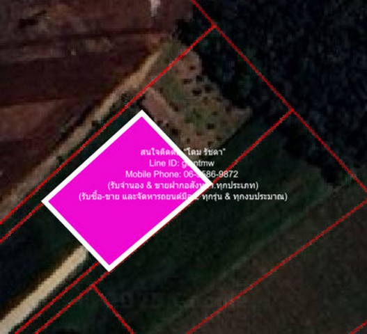 ขายที่ดินไร่สวนทางการเกษตร (ติดถนน และติดเขา) 1 ไร่ (400 ตร.ว.)