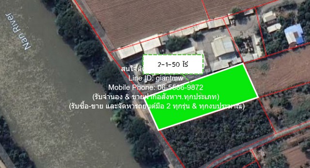ขายที่ดินถมแล้วติดถนน (ติดแม่น้ำน่าน) อ.เมืองพิษณุโลก 2-1-50 ไร่