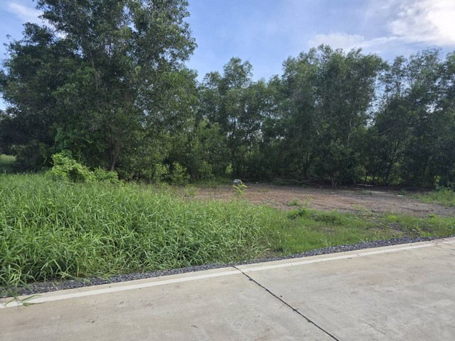 ขายที่ดิน ทำเลดี ถมแล้ว 210 ตร.ว ต.คลองสาม อ.คลองหลวง จ.ปทุมธานี