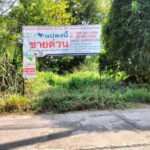 ที่ดินเปล่า 1-1-88.4 ไร่ ทำเลดีใกล้ถนนราชสีมา-ปักธงชัย