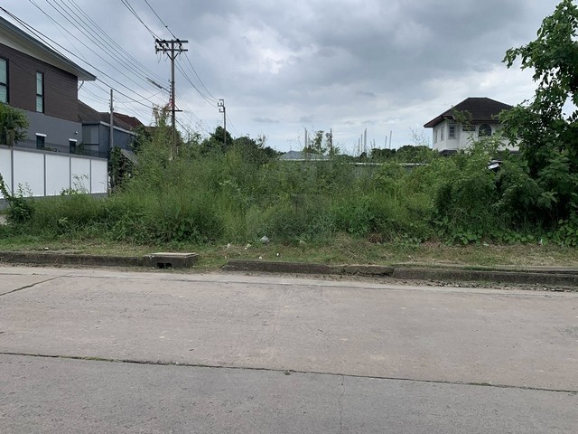 ขายที่ดินถมแล้ว 487 ตารางวา ติดถนน 3 ด้าน ม.ศรีนคร ซอยนวมินทร์24