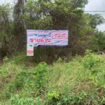 ขายที่ดินเปล่า 100 ตร.ว. เมืองเอก ถ.พหลโยธิน87 ซอย6 จ.ปทุมธานี