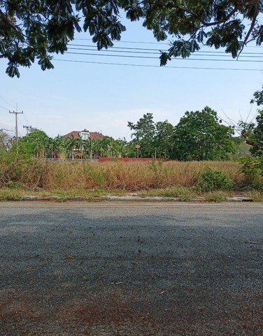 ขายที่ 188 ตรว. ใกล้ทะเลสาบ ในหมู่บ้านวิจิตราธานี