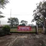 ขายที่ดินเปล่า 1-0-50 ไร่ ลำลูกกาคลองสอง ใกล้ BTS คูคต 5 กม.