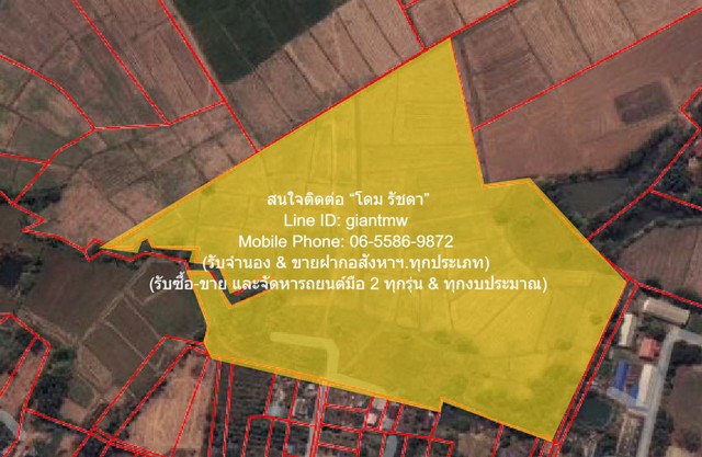 ขายที่ดินทุ่งนาข้าว ต.ระวิง อ.เมืองเพชรบูรณ์ จ.เพชรบูรณ์ 51-2-87
